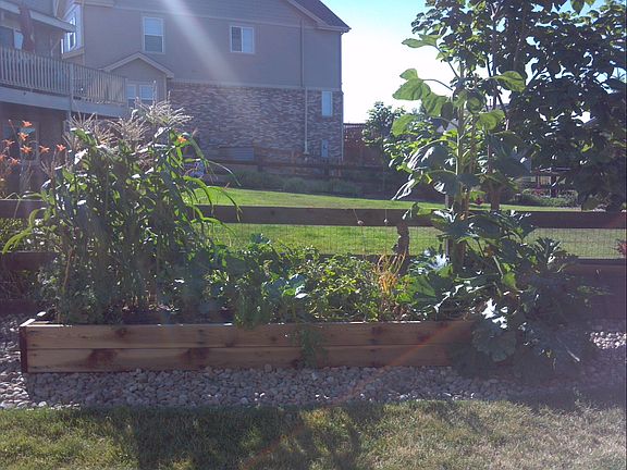 Raised Garden Bed