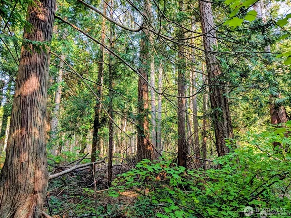 2 Mill Road, Point Roberts, WA 98281