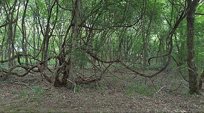 4th image of N/a Private Rd