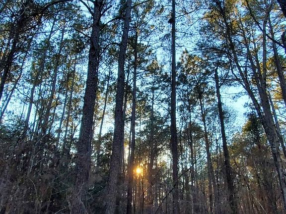 2nd image of 0 Mark Wood Rd