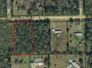 4313 Evergreen Ave, Bunnell, FL 32110