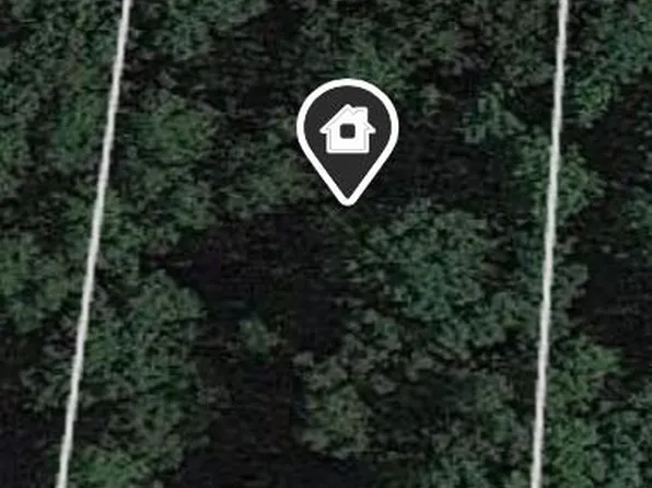 9483 W McFall Lake Dr, Branch, MI 49402