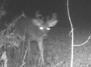 36003-157-001-00, Amasa, MI 49903