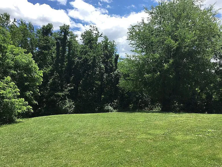 85 Overlook Dr — Photo 15