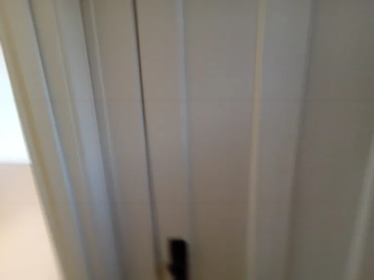 Walk-in closet entry door to attic