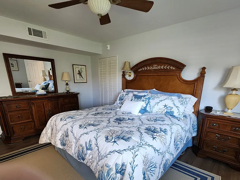 Master bedroom with king size bed, walk-in closet, and ensuite bathroom