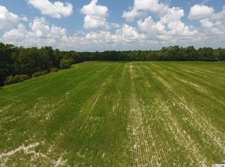 0 Coventry Rd, Nichols, SC 29581