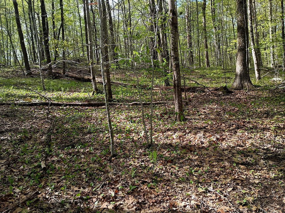 1st image of Litchfield Road