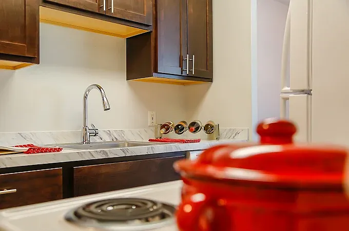 Chestnut Lake Apartments — Photo 8