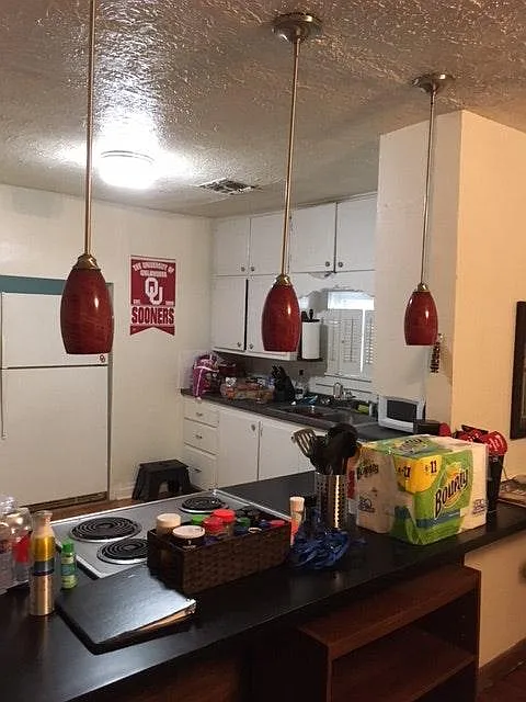 3 bed, 1000 sqft, $1,500 — Photo 4