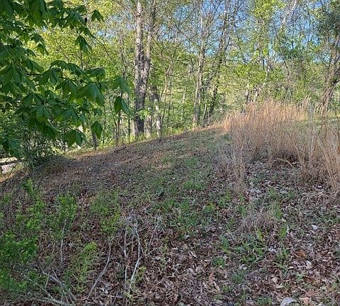 3rd image of Lot #29 Isabel Way