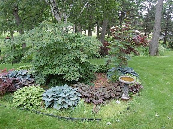 Side garden