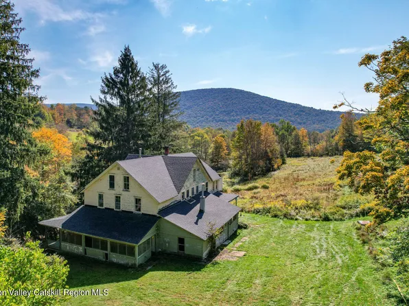 253 County Route 1, Halcott, NY 12430