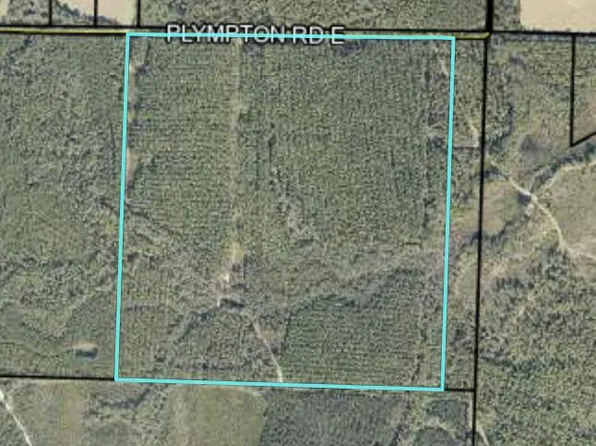 E Plympton Rd, Laurel Hill, FL 32567
