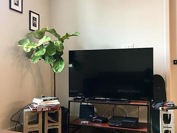 2nd image of 880 Dekalb Ave #513