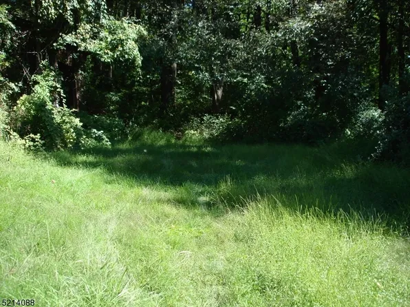 0 Fox Hill, Bethlehem Twp., NJ 08802