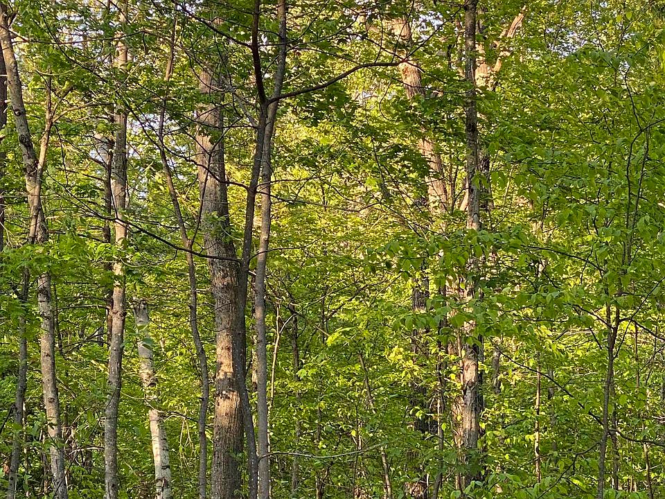 0 Vershire Riding School Rd, Vershire, VT 05079 MLS 4954505 Zillow