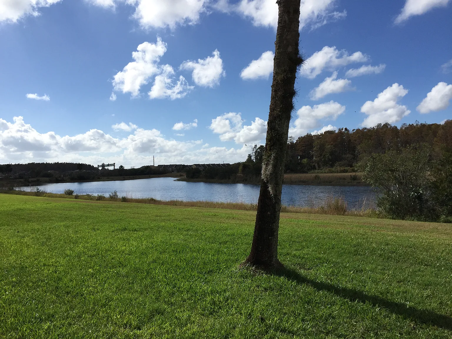 2 bed, 1013 sqft, $1,590 — Photo 2