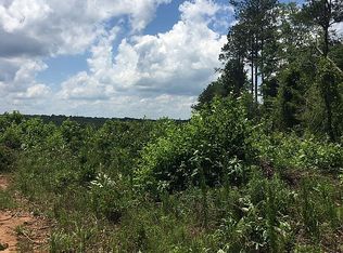 195 Lindsey Rd, Yatesville, GA 31097