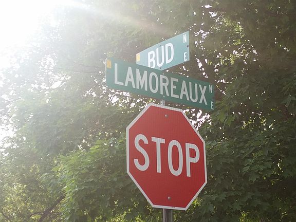 5th image of 14 Lamoreaux Dr NW