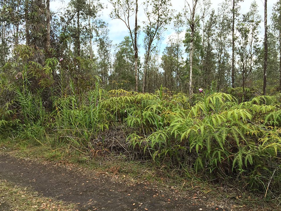 Lot 3957 Road 5