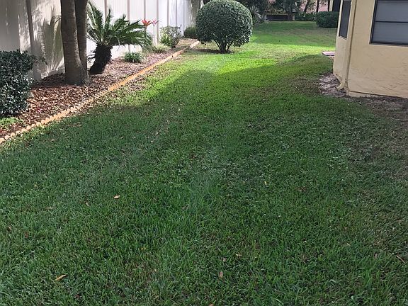  Backyard with vinyl fence