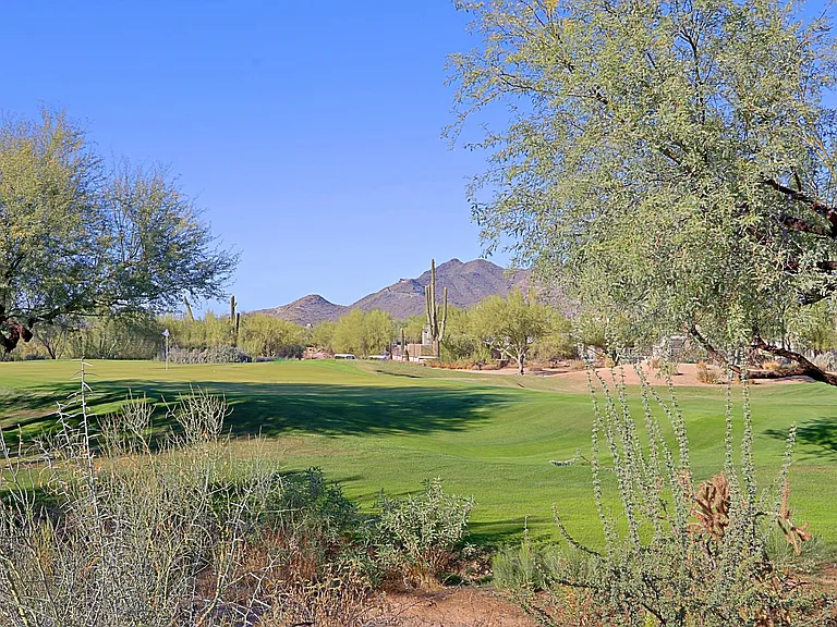 6894 E Thirsty Cactus Ln — Photo 47