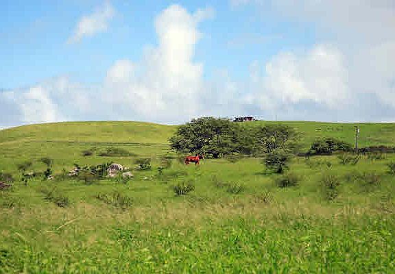 5th image of Puakea Dr Lot 21