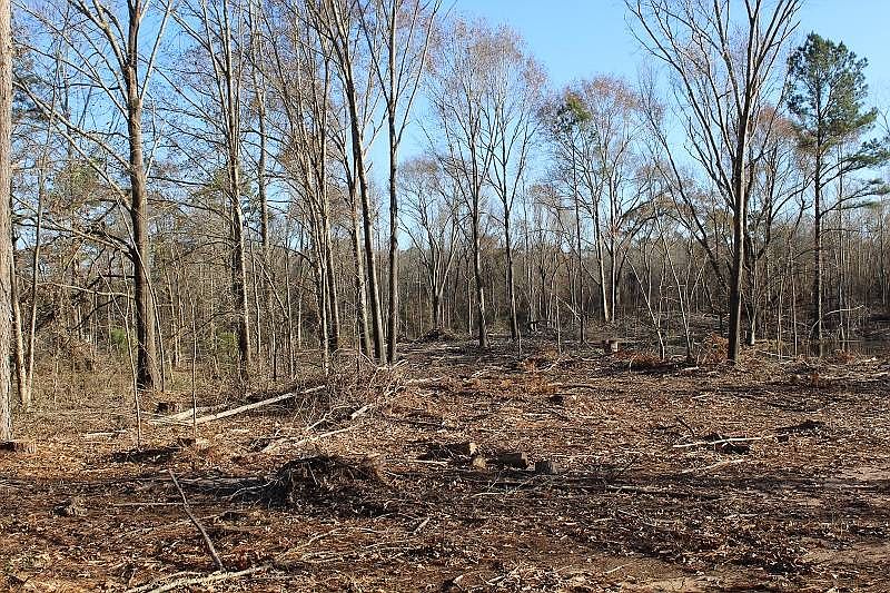 State Highway 191, Converse, LA 71419 Zillow