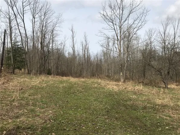 5560 Zessinger Rd, Mc Kean, PA 16426