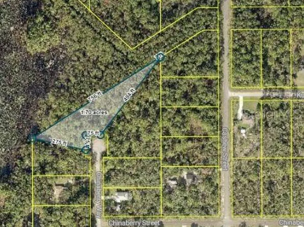 Chinaberry Way Lot 9, Eustis, FL 32736