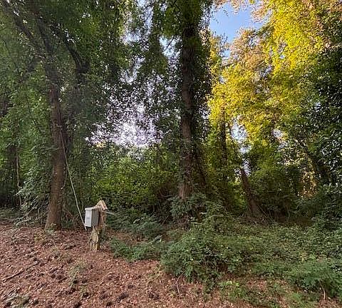 2nd image of 147 Lancashire Lane