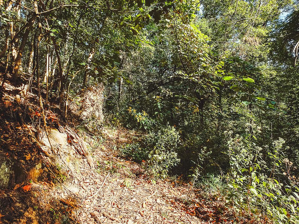 49th image of Georges Run Rd