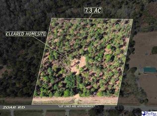 3 Zoar Rd, Chesterfield, SC 29709