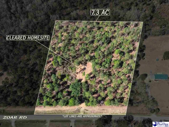 3 Zoar Rd, Chesterfield, SC 29709