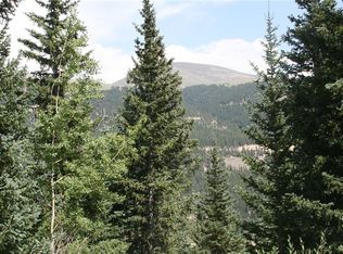 1221 Roberts Rd, Alma, CO 80420