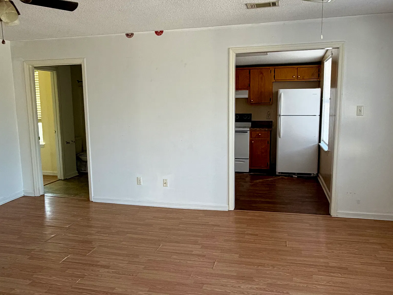 1 bed, $800 — Photo 3