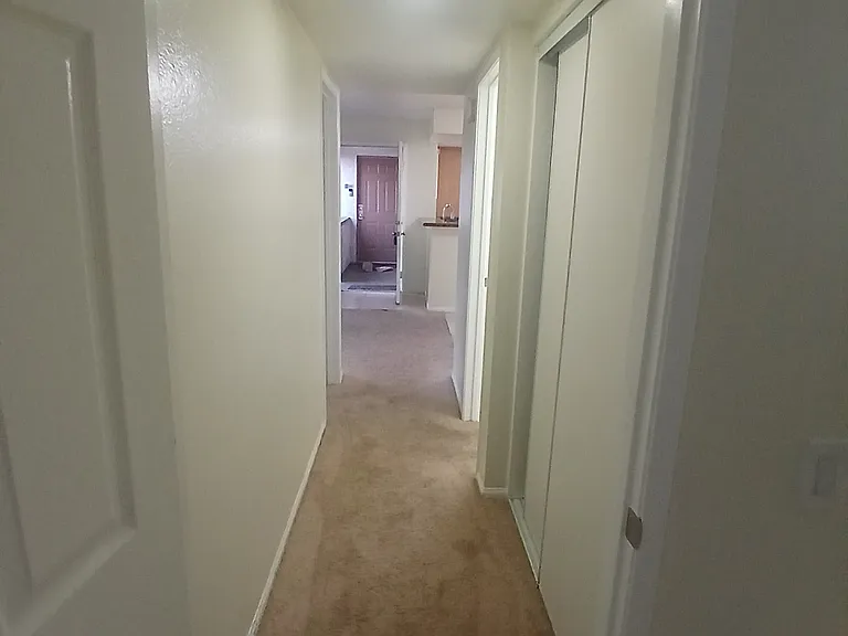 1317 Massachusetts Ave #203 — Photo 5