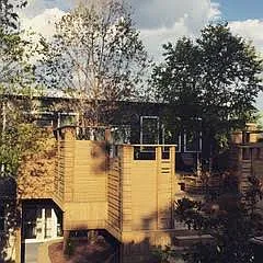 Beautiful backyard