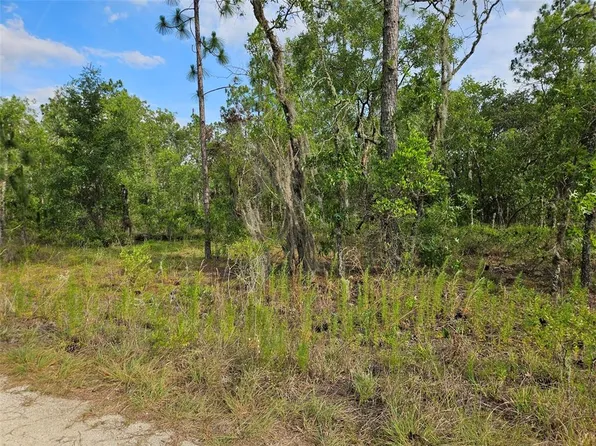 NE 12th Ln Lot 5, Williston, FL 32696