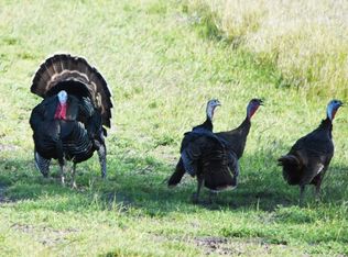 Kanaloa Dr LOT 155, Kamuela, HI 96743