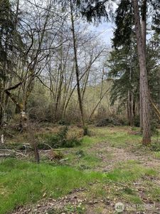 8914 130th Avenue Ct, Anderson Island, WA, 98303