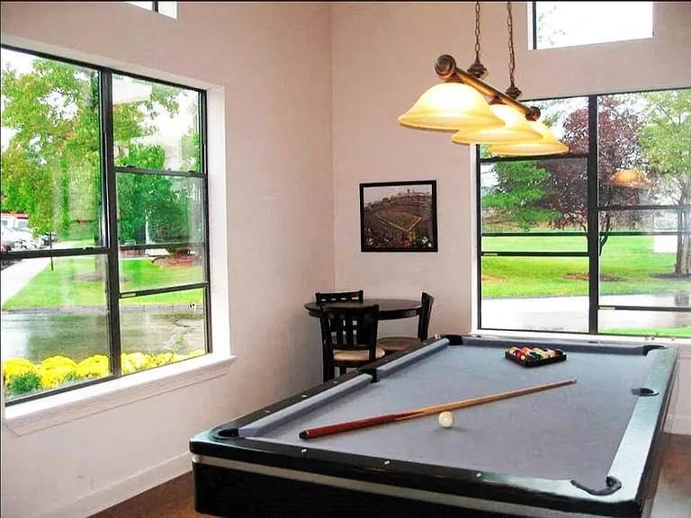 Play Billiards
