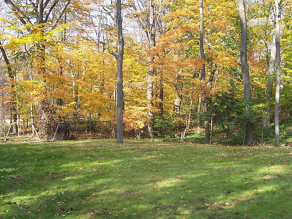 Large Level Backyard
