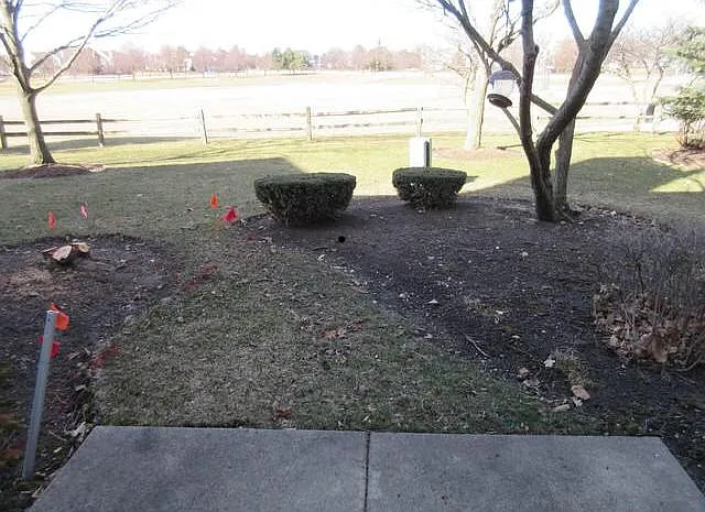 Back patio