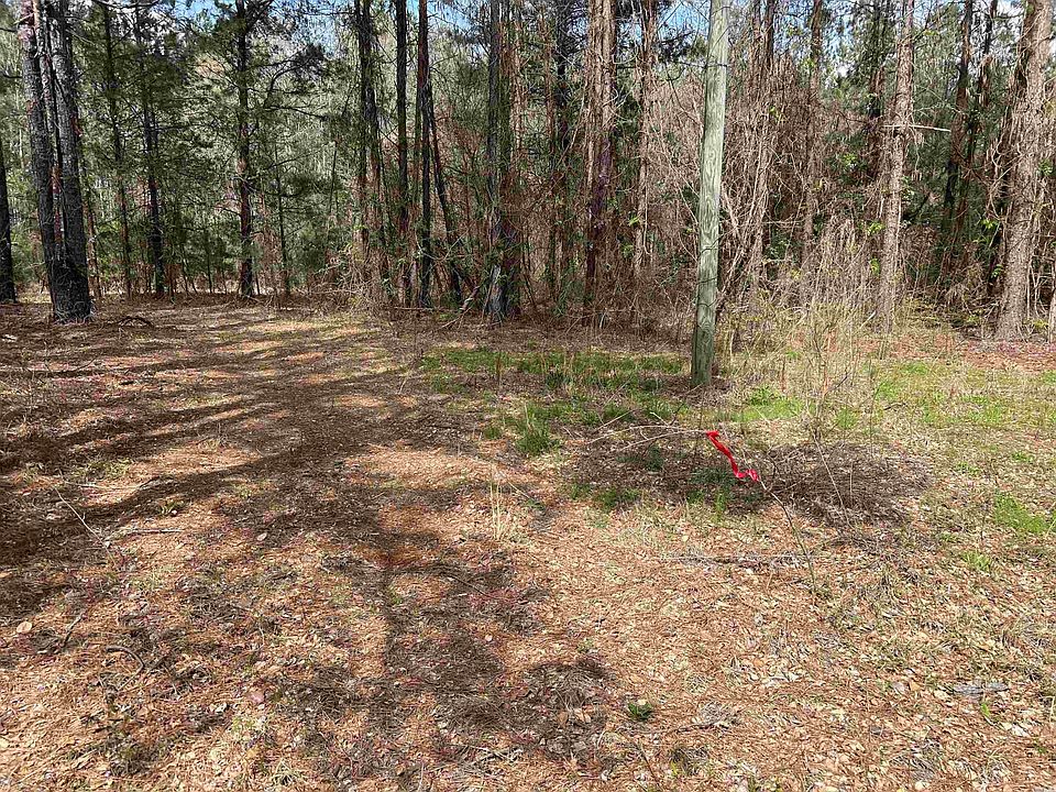 2nd image of Massengill Pond Rd Lot 1