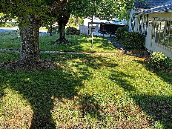 View of front yard