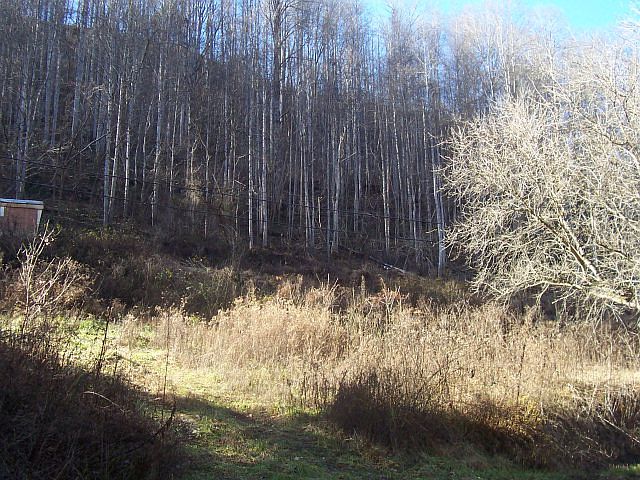 2nd image of 9202 Hayters Gap Rd