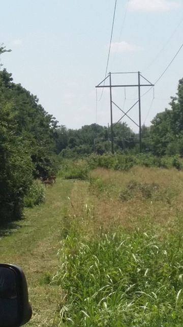 2nd image of N Eldon Rd