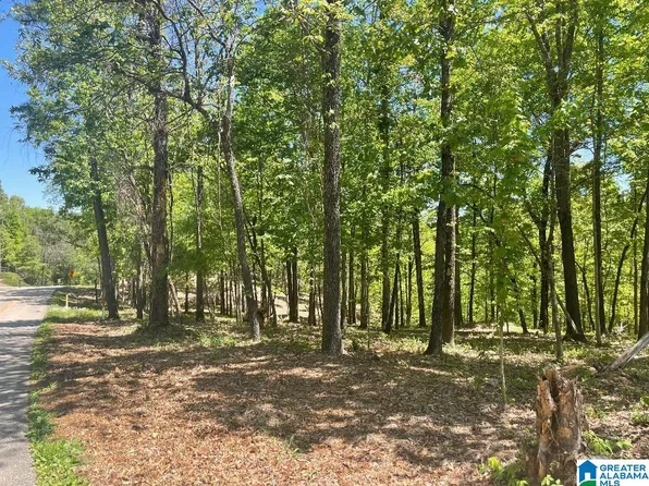 3252 Indian Crest Dr #10, Pelham, AL 35124